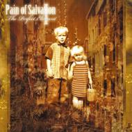 Pain Of Salvation 「Perfect　Element　Part1」