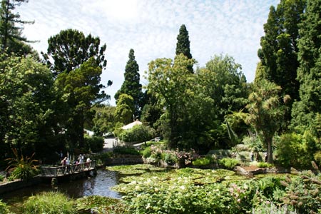 タスマニア植物園中国庭園