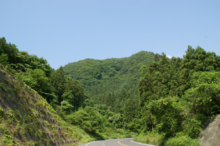 峠の山道