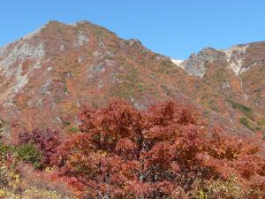 朝日岳と紅葉